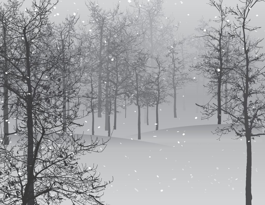 snow, scene, trees